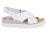 NESSI 23450/BIALY 12