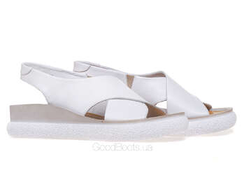 NESSI 23450/BIALY 12