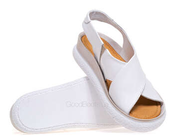 NESSI 23450/BIALY 12