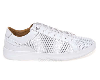 IKOS 1851-2/WHITE/LICO