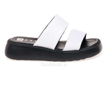 NESSI 23459/BIALY 12