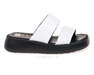 NESSI 23459/BIALY 12
