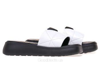 LEMAR 40334/S.BIALY