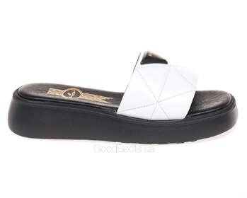LEMAR 40334/S.BIALY