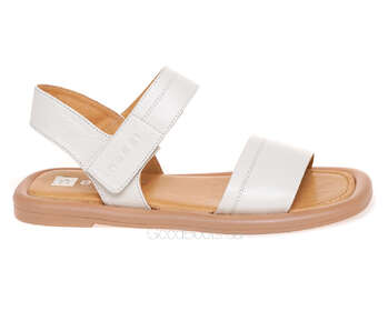 NESSI 23471/BIALY 411