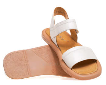 NESSI 23471/BIALY 411