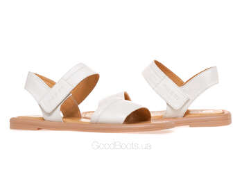 NESSI 23471/BIALY 411