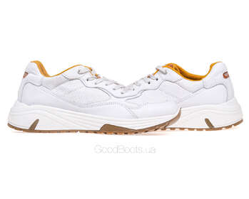 IGI&CO 3630600