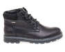 STEPTER 8381-OW/BLACK/LICO