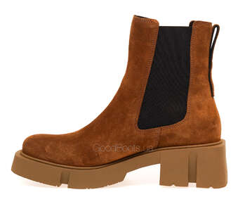 NESSI 23541-F/CAMEL W