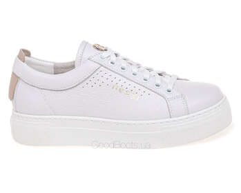 NESSI 24587/BIALY 412