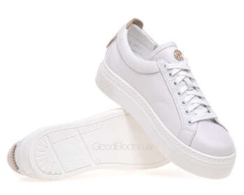 NESSI 24587/BIALY 412
