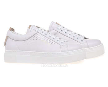 NESSI 24587/BIALY 412