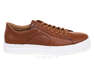 IKOS 1951-8/BROWN