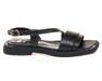 LOTTINI 54-LOT-7502/01