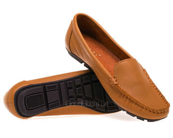 NESSI 17130/CAMEL 12