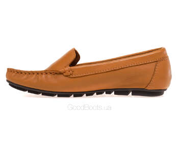 NESSI 17130/CAMEL 12