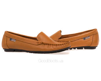 NESSI 17130/CAMEL 12