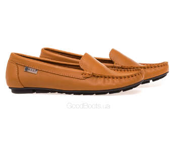 NESSI 17130/CAMEL 12