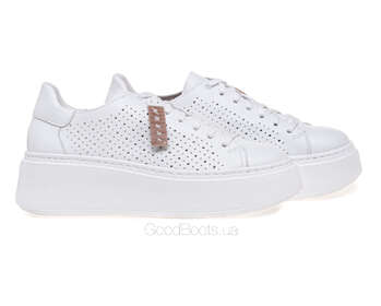 NESSI 24579/BIALY 12