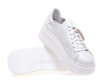 NESSI 24579/BIALY 12