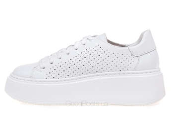 NESSI 24579/BIALY 12