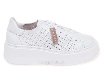 NESSI 24579/BIALY 12