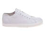 NESSI 24593/BIALY 412