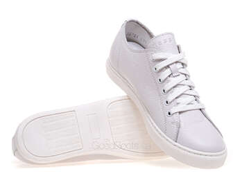 NESSI 24593/BIALY 412