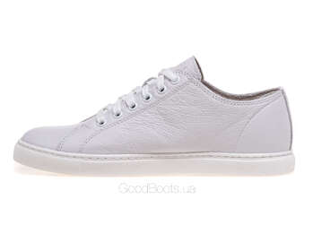 NESSI 24593/BIALY 412
