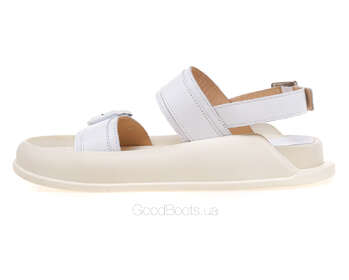 LOTTINI 11-452-4/G-526