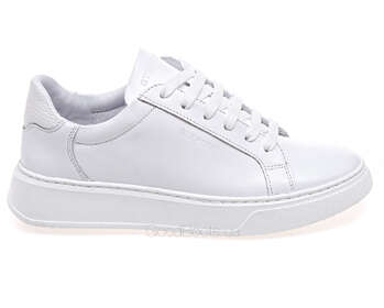 STEPTER 8654/WHITE LIC