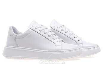 STEPTER 8654/WHITE LIC