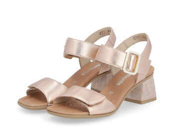 REMONTE D1K51-31