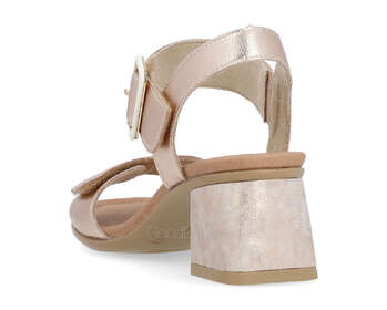 REMONTE D1K51-31
