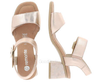 REMONTE D1K51-31