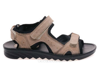 STEPTER 8735/BEIGE