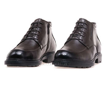 ANEMONE AL592F-25M-T2/BROWN