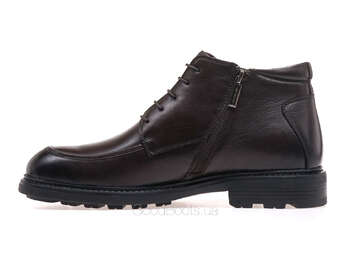 ANEMONE AL592F-25M-T2/BROWN