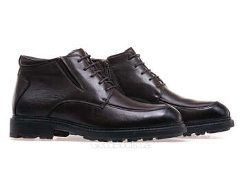 ANEMONE AL592F-25M-T2/BROWN