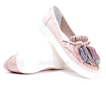 NESSI 19508/Roz 412