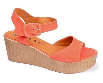 NESSI 18364/Coral