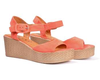 NESSI 18364/Coral
