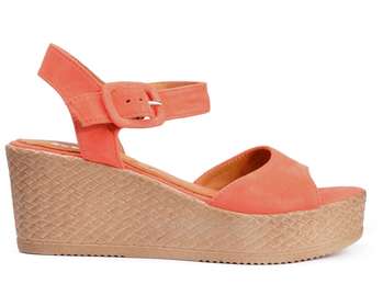 NESSI 18364/Coral