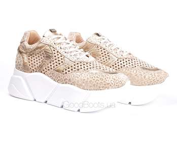 Lottini 41-521/1151-1053
