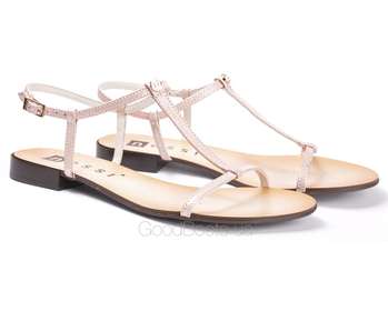 NESSI 49004/roz CT