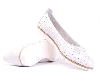 NESSI 19523/Bialy 412
