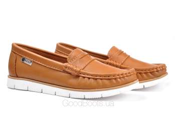 NESSI 76506/CAMEL LICO