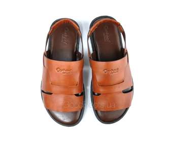 CONHPOL M-0289P/03/BRAZ