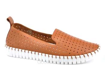 NESSI 18390/CAMEL LICO